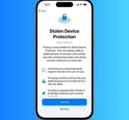 莲都苹果授权维修店分享被盗设备保护功能开启方法 