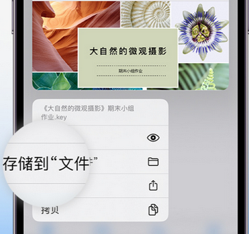 莲都apple维修中心分享iPhone文件应用中存储和找到下载文件