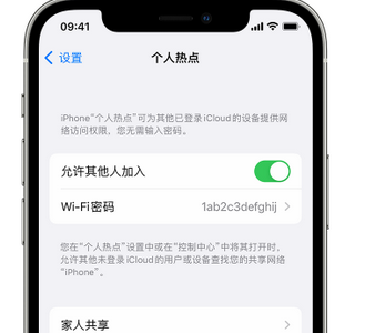 莲都apple服务站点分享iPhone上个人热点丢失了怎么办 