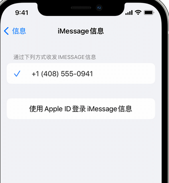 莲都apple维修iPhone上无法正常发送iMessage信息 