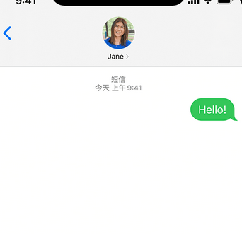 莲都apple维修iPhone上无法正常发送iMessage信息