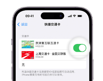 莲都apple维修点分享iPhone上更换Apple Pay快捷交通卡手绘卡面 