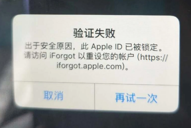 莲都iPhone维修分享iPhone上正常登录或使用AppleID怎么办 