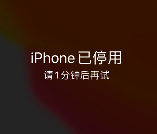 莲都苹果手机维修分享:iPhone 显示“不可用”或“已停用”怎么办？还能保留数据吗？ 