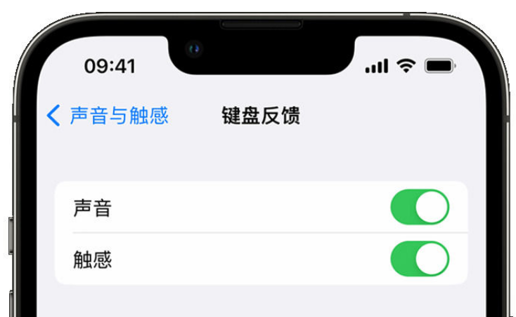 莲都苹果手机维修分享iPhone 14触感键盘使用方法 