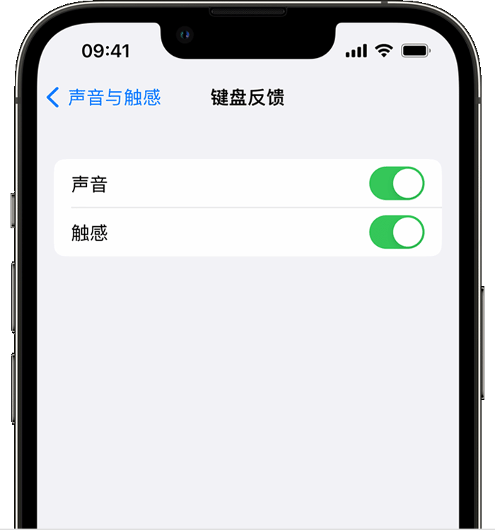 莲都苹果14维修店分享如何在 iPhone 14 机型中使用触感键盘 