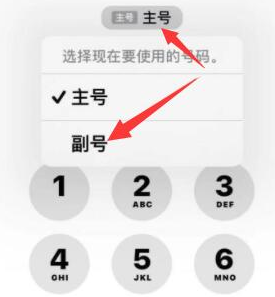 莲都苹果14维修店分享iPhone 14 Pro Max使用副卡打电话的方法 