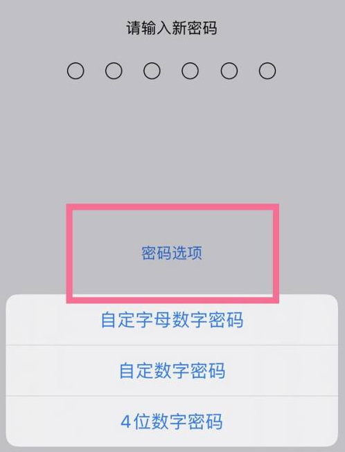 莲都苹果14维修分享iPhone 14plus设置密码的方法 