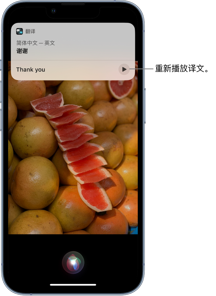 莲都苹果14维修分享 iPhone 14 机型中使用 Siri：了解 Siri 能帮你做什么 