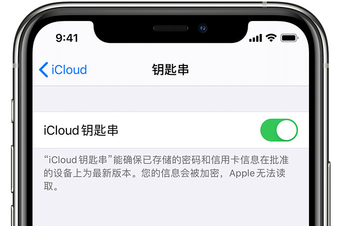 莲都苹果手机维修分享在 iPhone 上开启 iCloud 钥匙串之后会储存哪些信息 