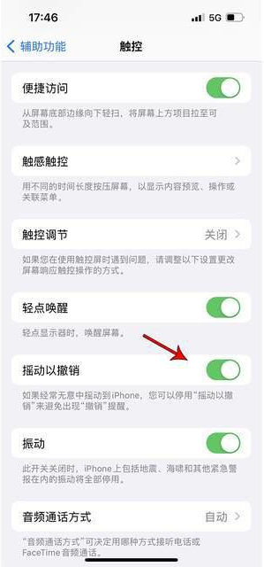 莲都苹果手机维修分享iPhone手机如何设置摇一摇删除文字 